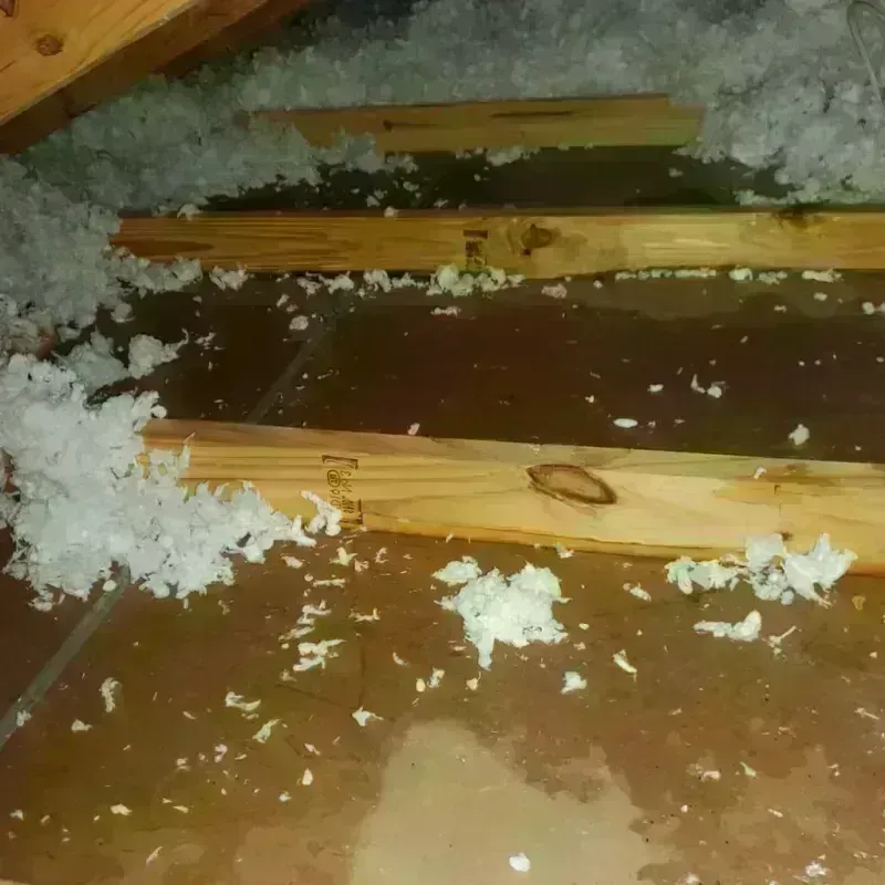 Attic Water Damage in Junction, TX