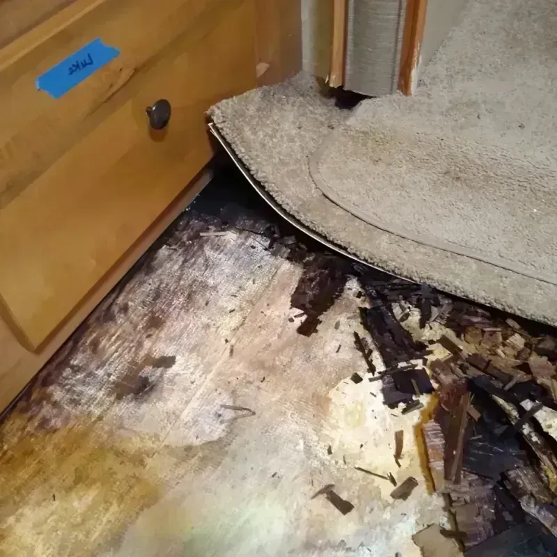 Wood Floor Water Damage in Junction, TX